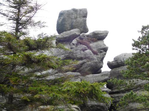 Rodzinna wycieczka w Góry Stołowe 19-21.05.2017